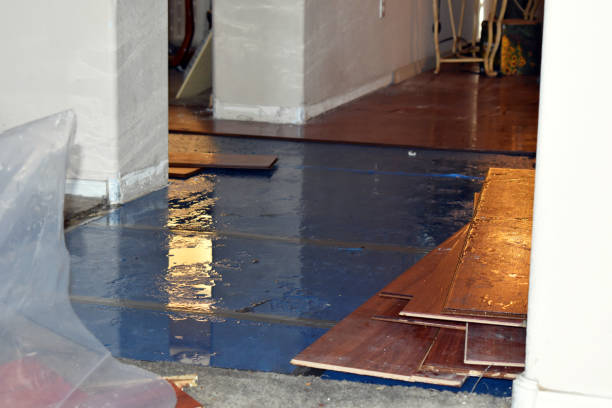 Professional Water Damage Restoration technician working in Frederick, CO