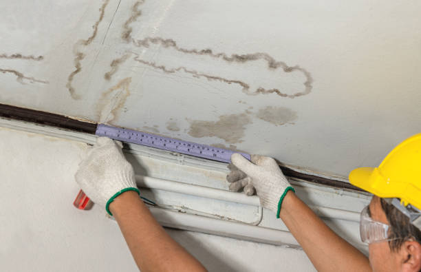 Reliable Water Damage Restoration contractor in Frederick, CO by Water Damage Irwin